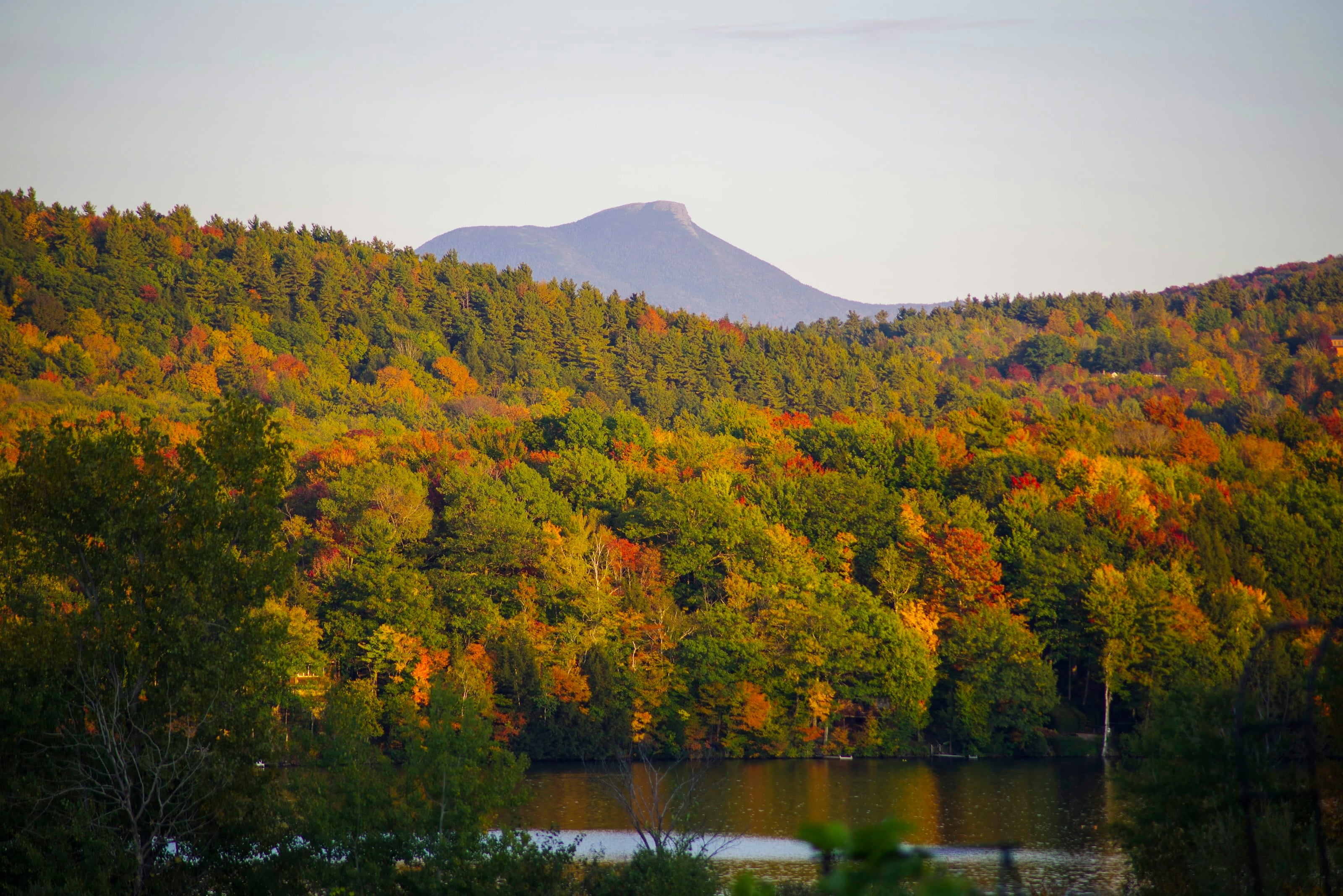 a lake surrounded by trees with a mountain in the background